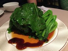 -八樂居