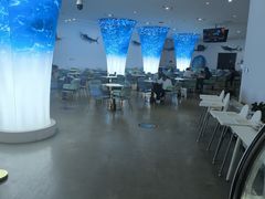 -深海中餐厅(国家海洋博物馆店)