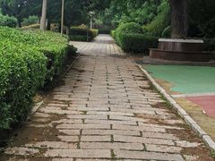 -贮水山儿童公园