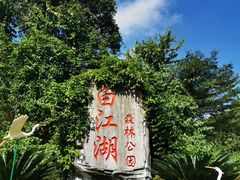 -广州白江湖森林公园