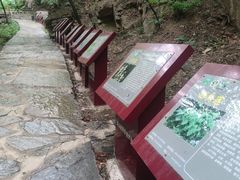 -北京上方山国家森林公园