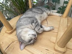 -小时光咖啡馆(北锣鼓巷店)
