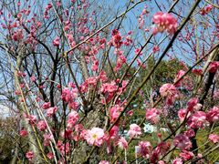 -渤公岛生态公园