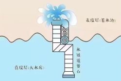 -MLP美丽派·问题肌疗愈中心