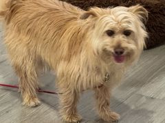 -极速星辰卡丁车赛车场(西山店)