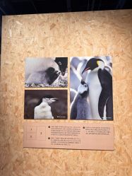 -G-STEPS舞蹈工作室