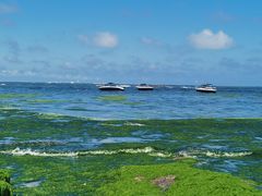 -日照灯塔风景区