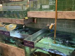 -鱼你相聚·河鲜馆(袁家岭店)