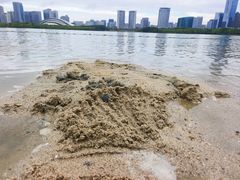 -天鹅湖体育公园