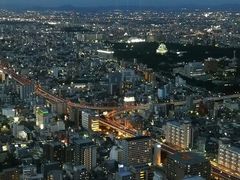 -矢场猪(名古屋站三井楼北馆店)