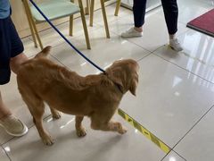 -子乐宠物医院