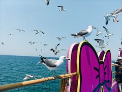-海驴岛(荣成市)