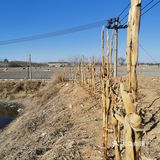 《田地里空无一人》