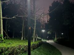 -重庆彩云湖湿地公园