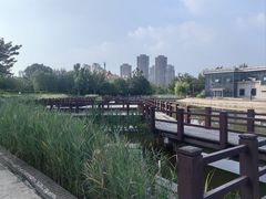 -绿岛公园(滨海新区)