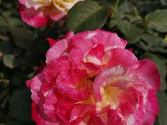 -人民公园(罗湖区)