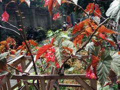 -玉林生活广场