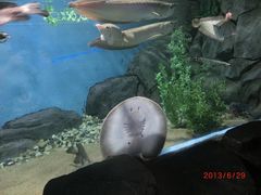 -苏州海洋馆