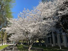 -星湖街(地铁站)