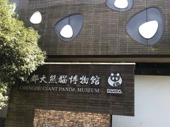 景点-成都大熊猫繁育研究基地