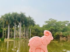 -中国科学院西双版纳热带植物园