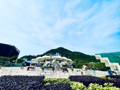 -香港海洋公园