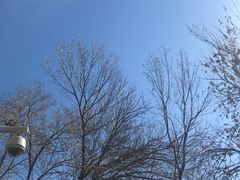 -鹏欣水游城