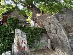 -青岛崂山太清宫