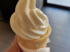 -麦当劳(正定瑞天店)