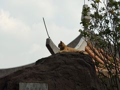 -广州莲花山旅游区