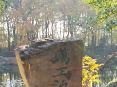 -灵谷景区