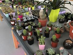 -南通洲际绿博园