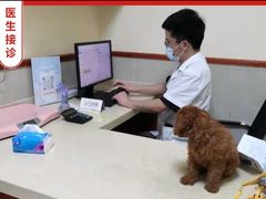 -艾贝尔宠物医院 ·内科全科(梁溪路店)