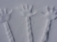 iphone_upload_pic-黄河九曲第一湾