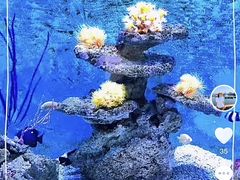 -大连老虎滩海洋公园