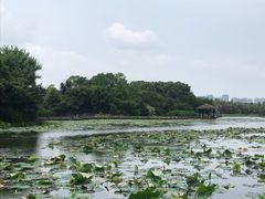 -艾溪湖湿地公园