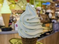-油梨树AVOCADO TREE(嘉里中心店)