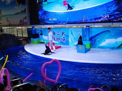 -成都浩海立方海洋公园