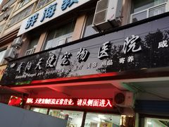 -天使宠物医院·犬猫分诊(彩虹店)