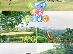 -大顶岭绿道