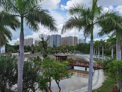 -金鸡岭桥头公园