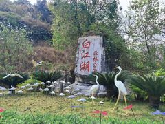 -广州白江湖森林公园