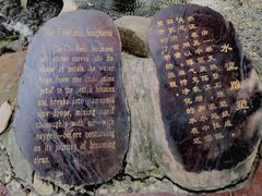 -成都市活水公园