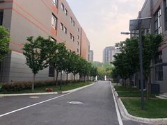 -金陵中学(河西分校)