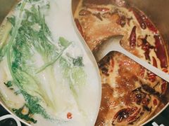 -湯系·煲汤手艺人(东二环泰禾广场店)