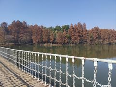 -东湖落雁景区