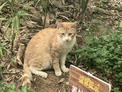 -鸿山公园