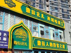 -撒拉花儿·新疆菜·清真(太阳宫店)
