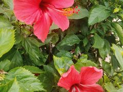 -佛山京华广场MALL