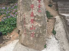 -紫金山天文台